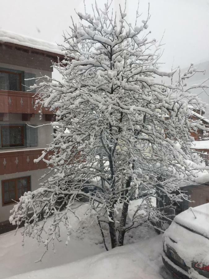 Apartament Ciasa David Marebbe San Vigilio Di Marebbe Zewnętrze zdjęcie